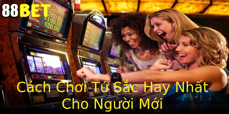 Cách Chơi Tứ Sắc Hay Nhất Cho Người Mới Cách Chơi Tứ Sắc Hay Nhất Cho Người Mới