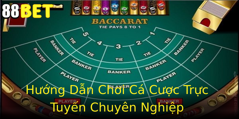 Hướng Dẫn Chơi Cá Cược Trực Tuyến Chuyên Nghiệp Hướng Dẫn Chơi Cá Cược Trực Tuyến Chuyên Nghiệp