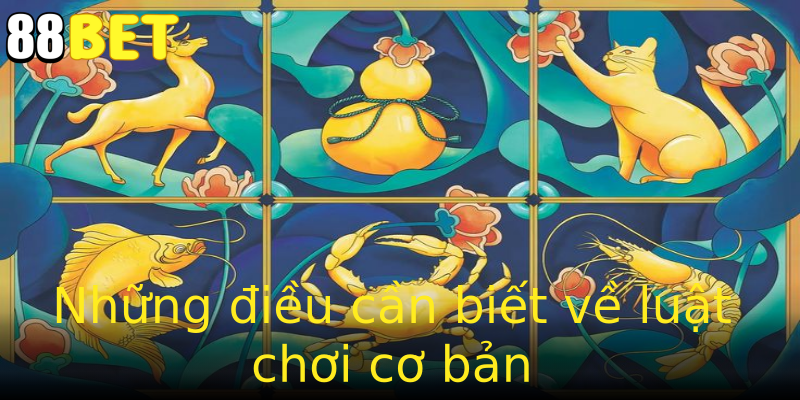 Những điều cần biết về luật chơi cơ bản Những điều cần biết về luật chơi cơ bản